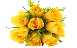 bouquet flowers image with transparent background