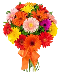 bouquet of flowers arranged for decoration