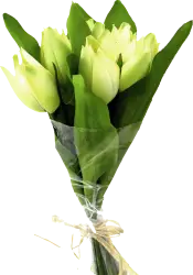 bunch of flowers with long leaf transparent image