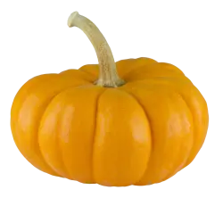 acorn-squash-fruit-free