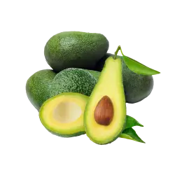 avocado green cut fruit