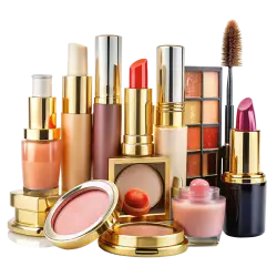 luxury cosmetic makeup set