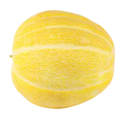 Whole yellow melon fruit isolated on transparent background