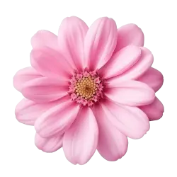 simple pink flower free png clipart