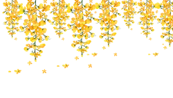 Yellow hanging flowers border with decorative floral design isolated on transparent background